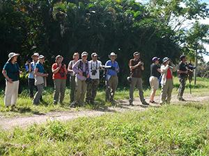 Visitas de Turismo Nacional