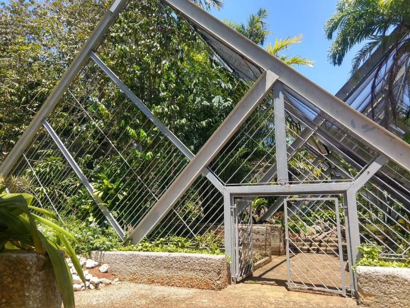 Tropical rainforests